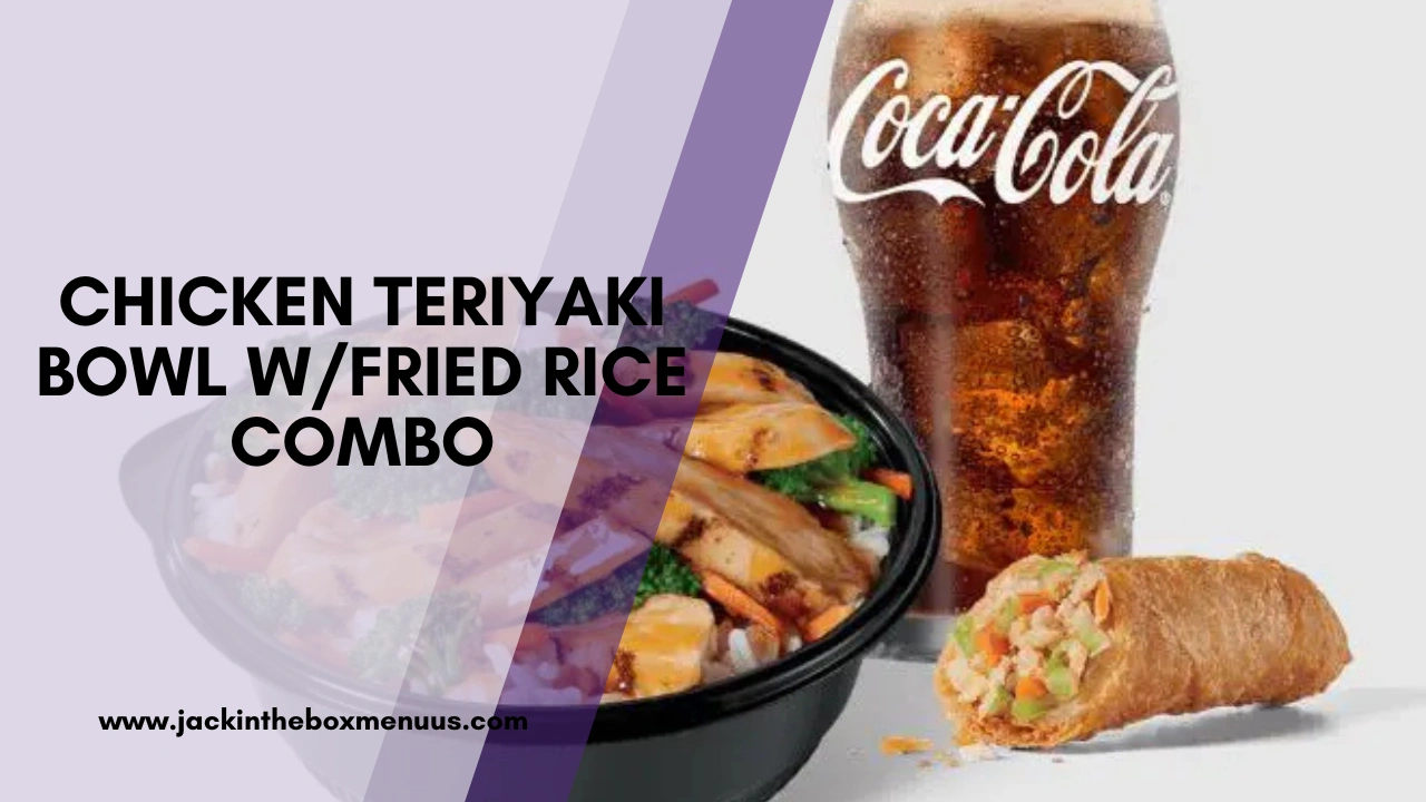 Chicken Teriyaki Bowl wFried Rice Combo