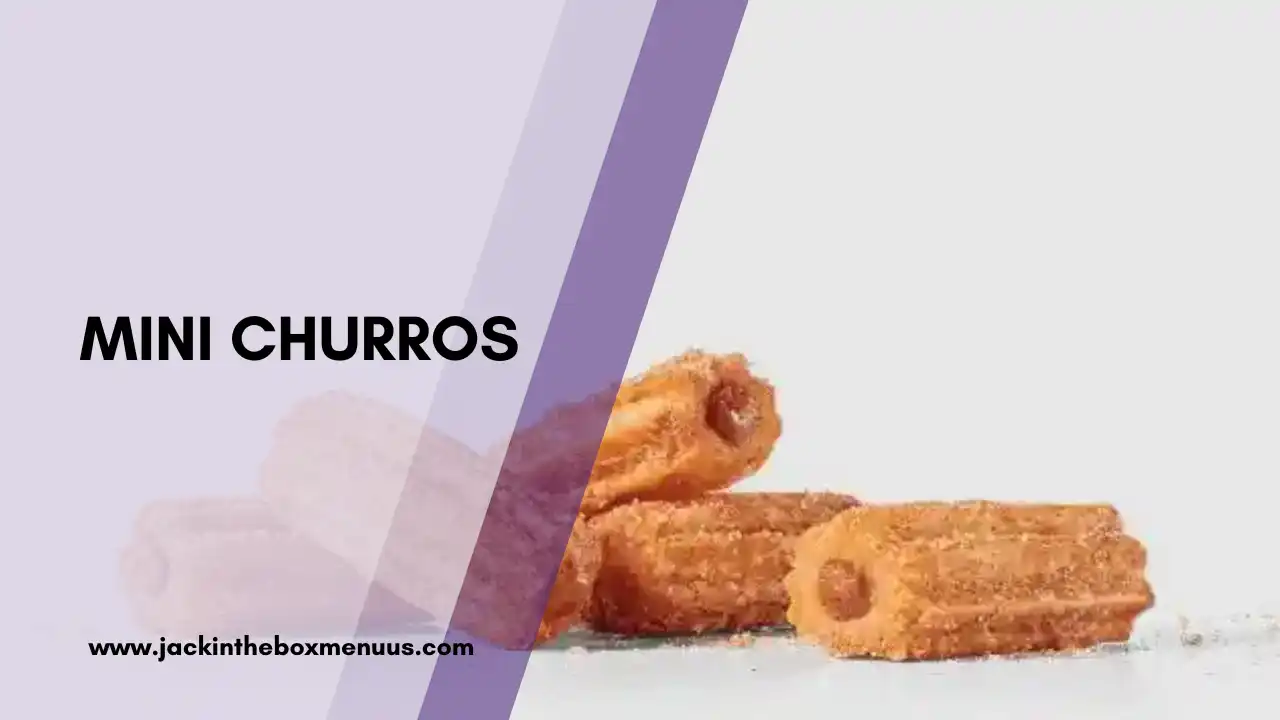 MINI CHURROS